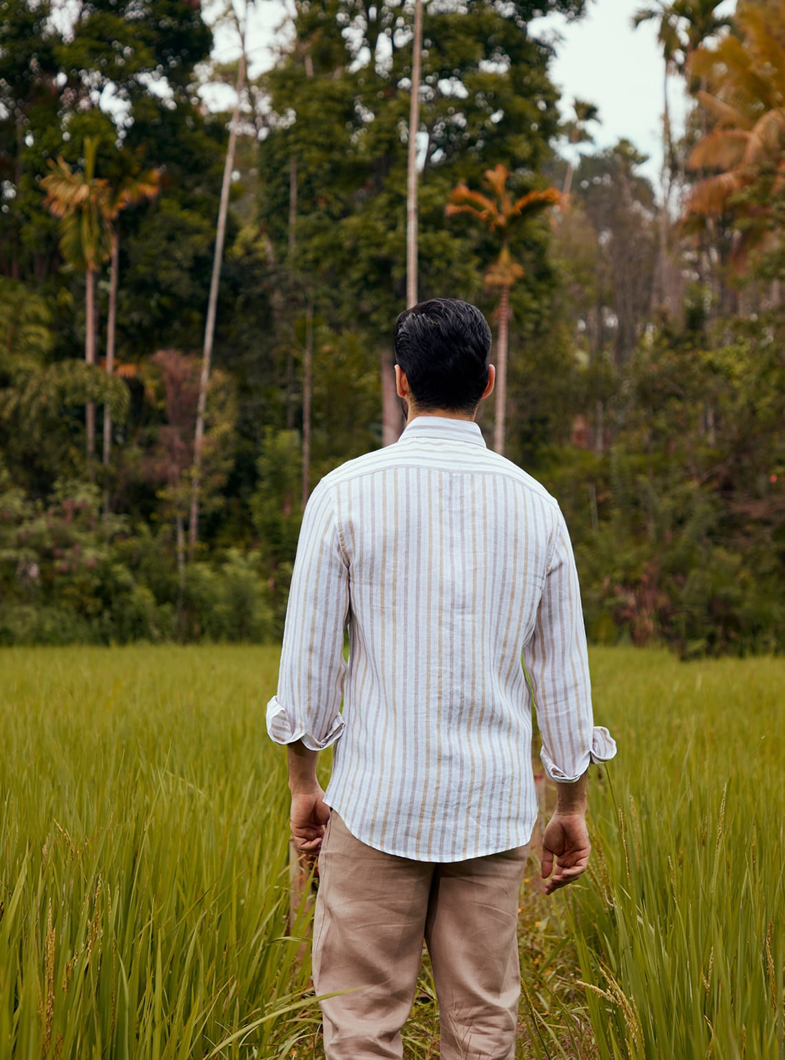 Khaki Gold Stripe Shirt