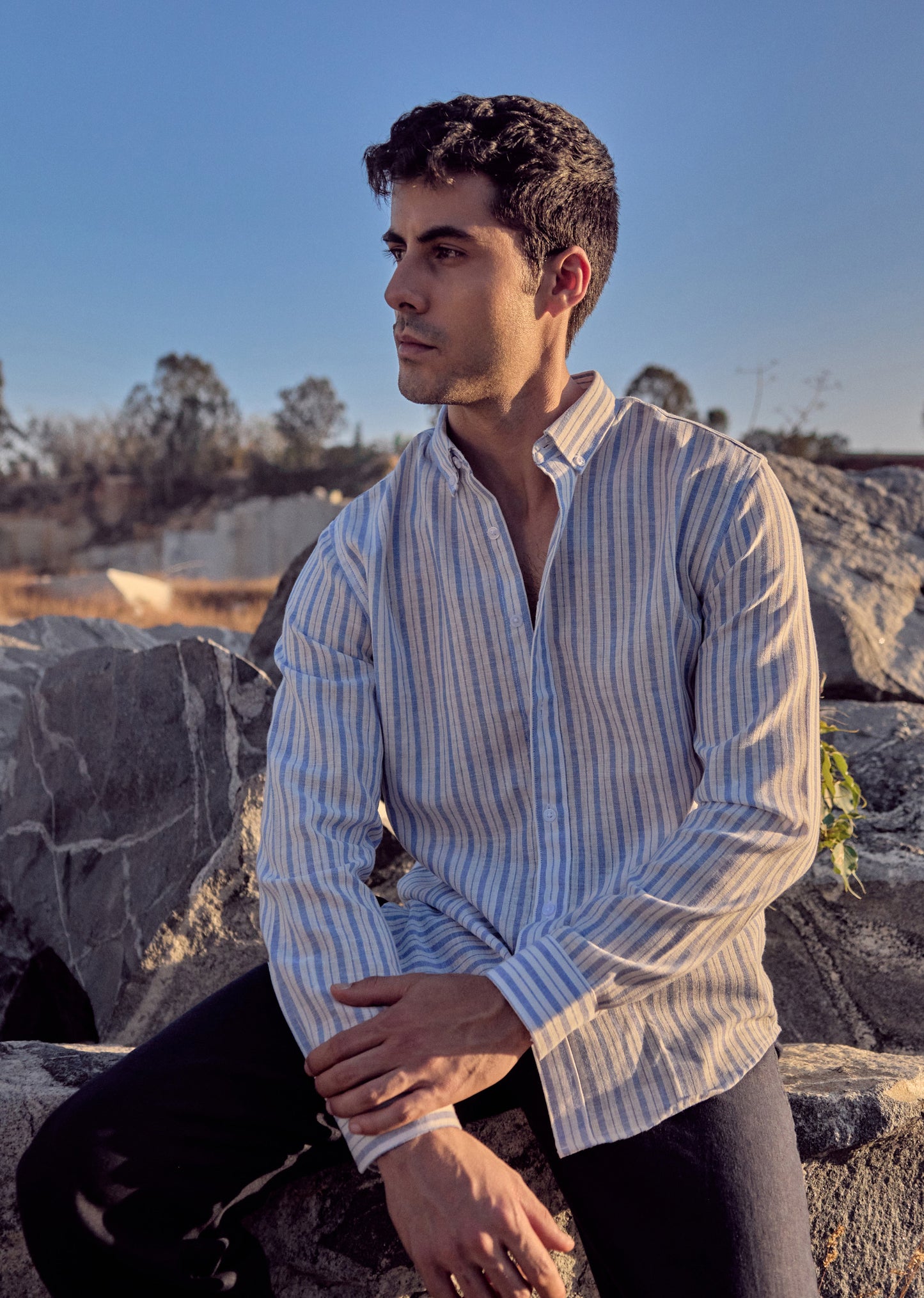 Blue Stripe Linen Shirt