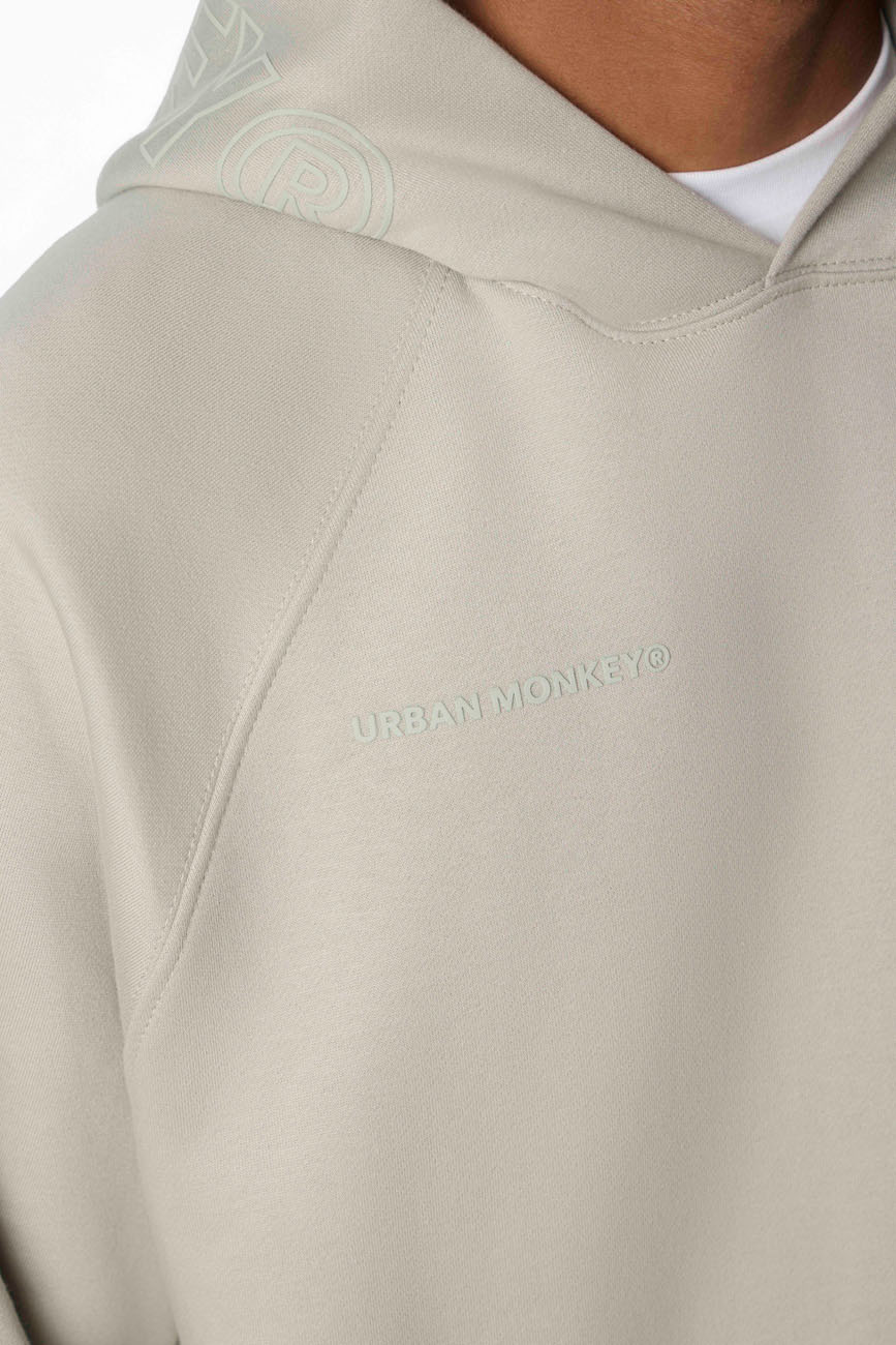 UM Core Hoodie // Ash Mist