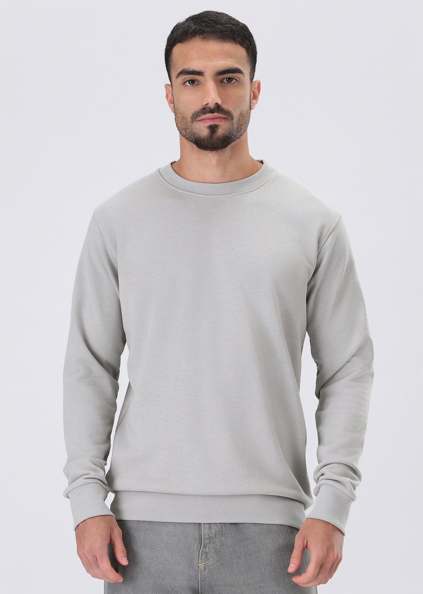Light Grey Sweatshirt