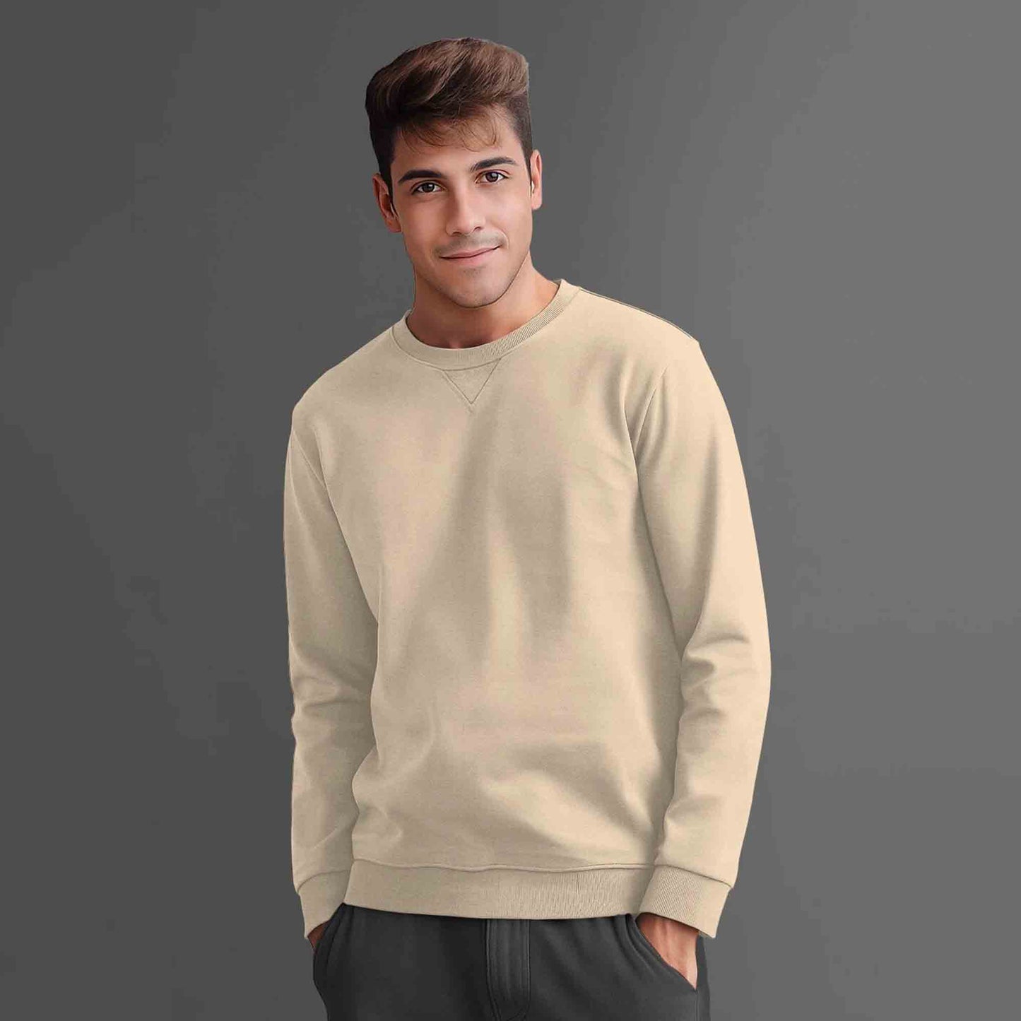 Men Solid Colors Round Neck Sweatshirts 7 Variants