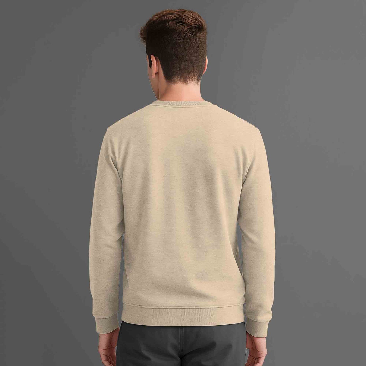 Men Full Sleeve plain round Neck Sweatshirt beige